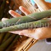 bambusz100x100