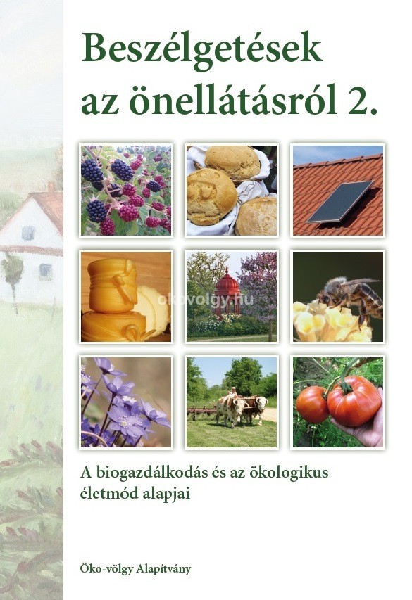Borito_2